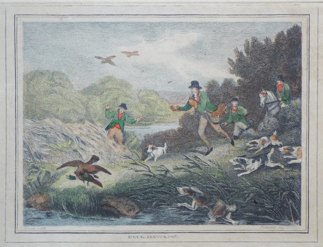 Etching - Duck-Hawking - Howitt